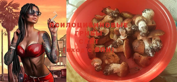 кокаин перу Бородино